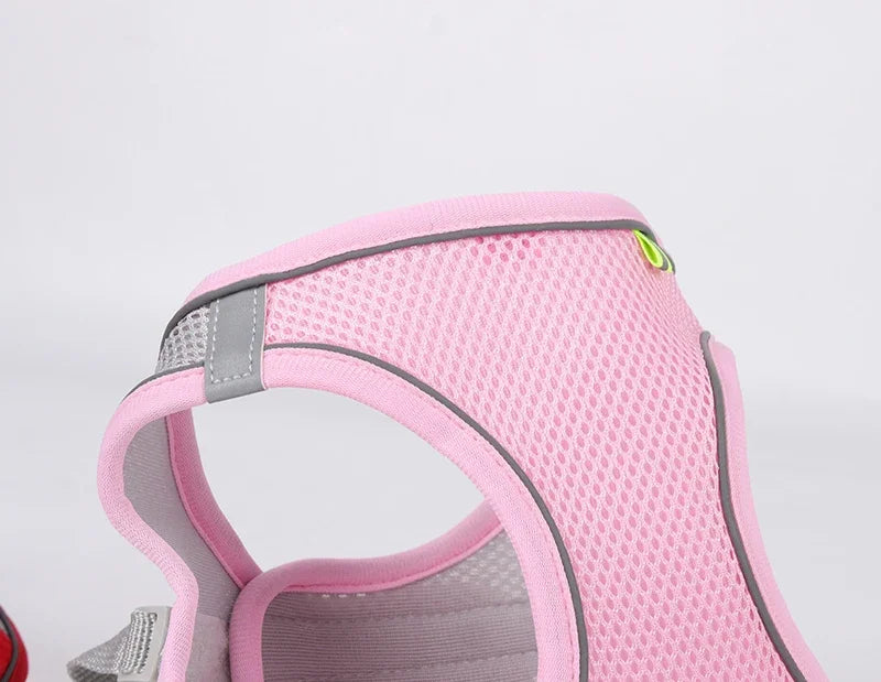 Puppy Harness Set Dog Accessories Adjustable Puppy and Cat