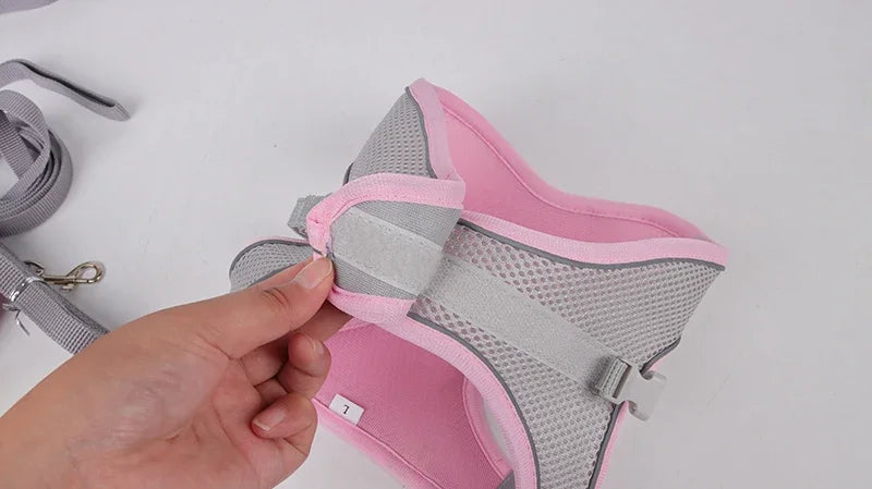 Puppy Harness Set Dog Accessories Adjustable Puppy and Cat