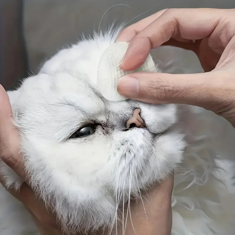 200pcs Pet Eye Cleaning Wipes