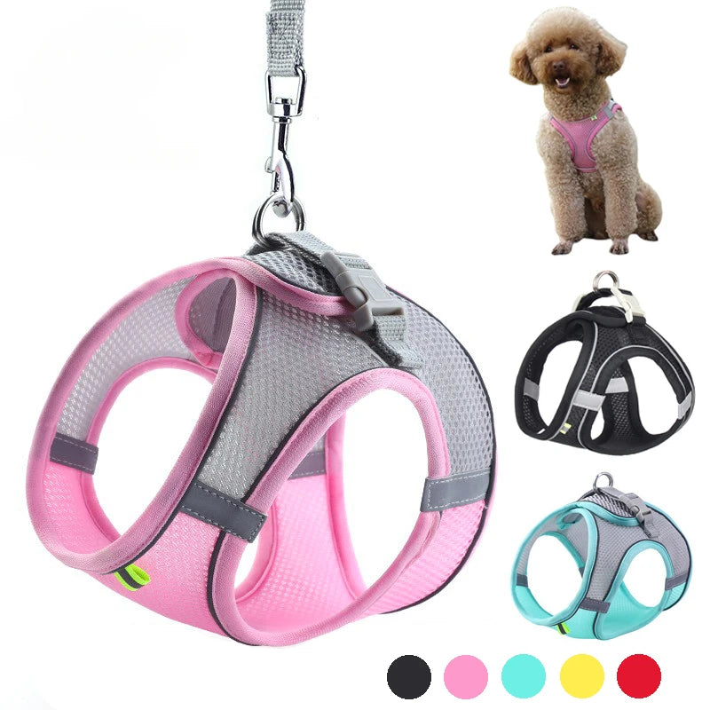 Puppy Harness Set Dog Accessories Adjustable Puppy and Cat