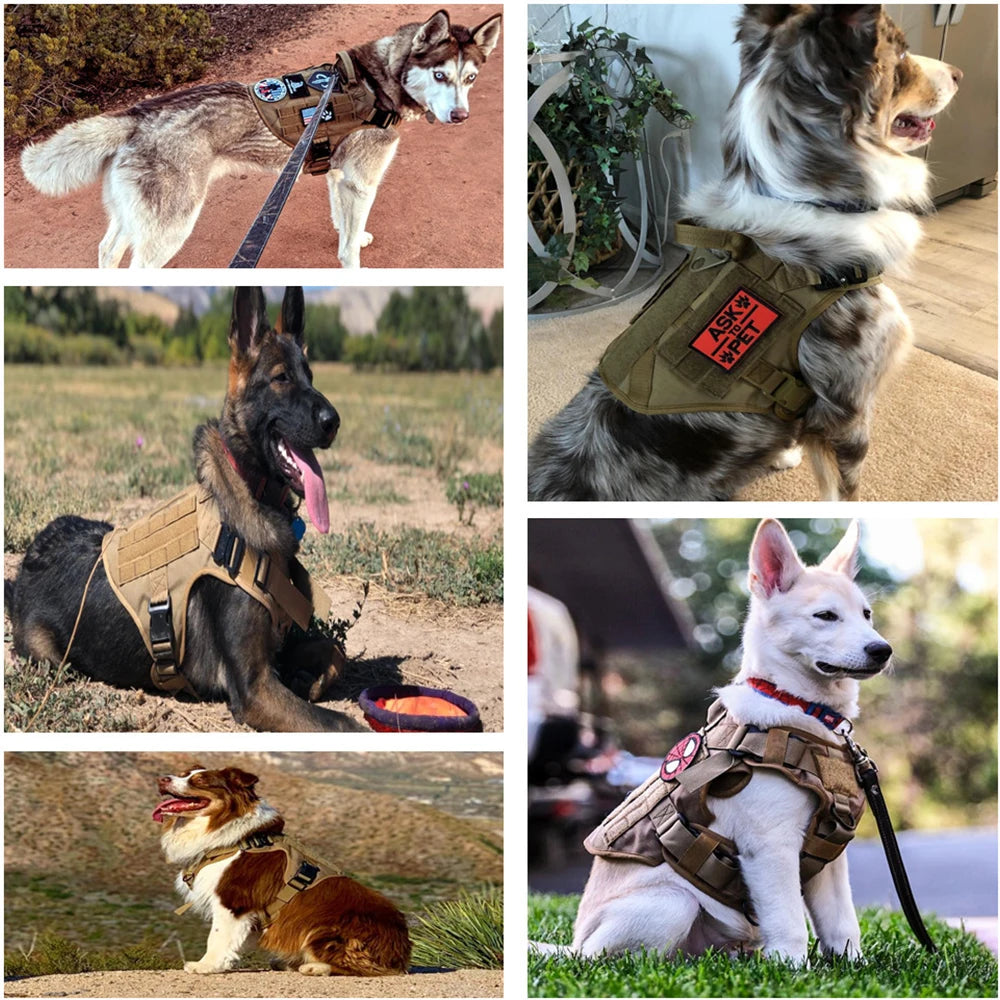 Military Dog Harness