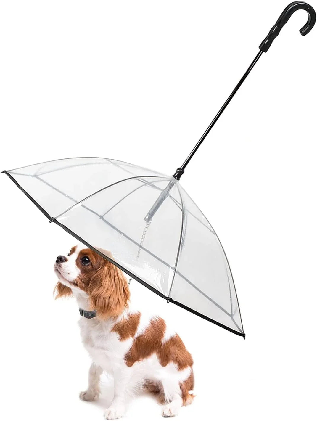 Dog Umbrella with Leash for Small Pets