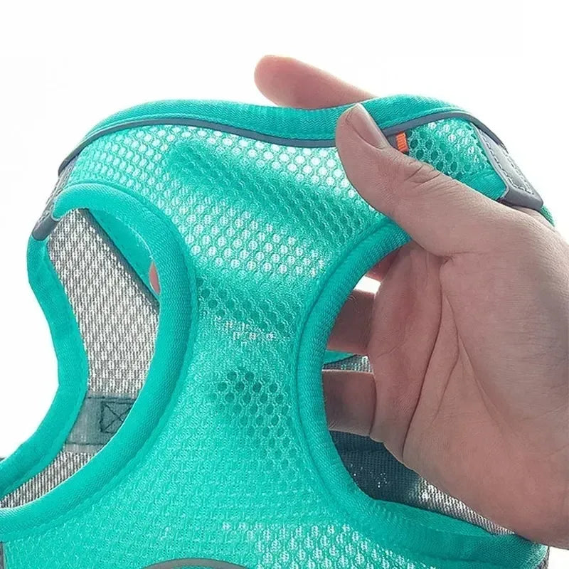 Puppy Harness Set Dog Accessories Adjustable Puppy and Cat